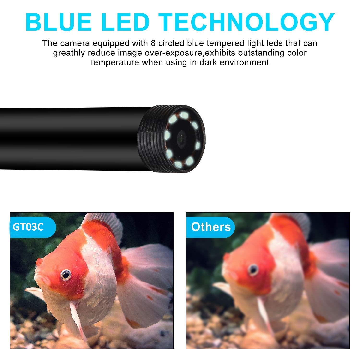 Endoskop mit BLAUER LED-Beleuchtung