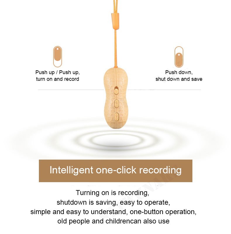 voice recorder nut - spy mini micro recorder